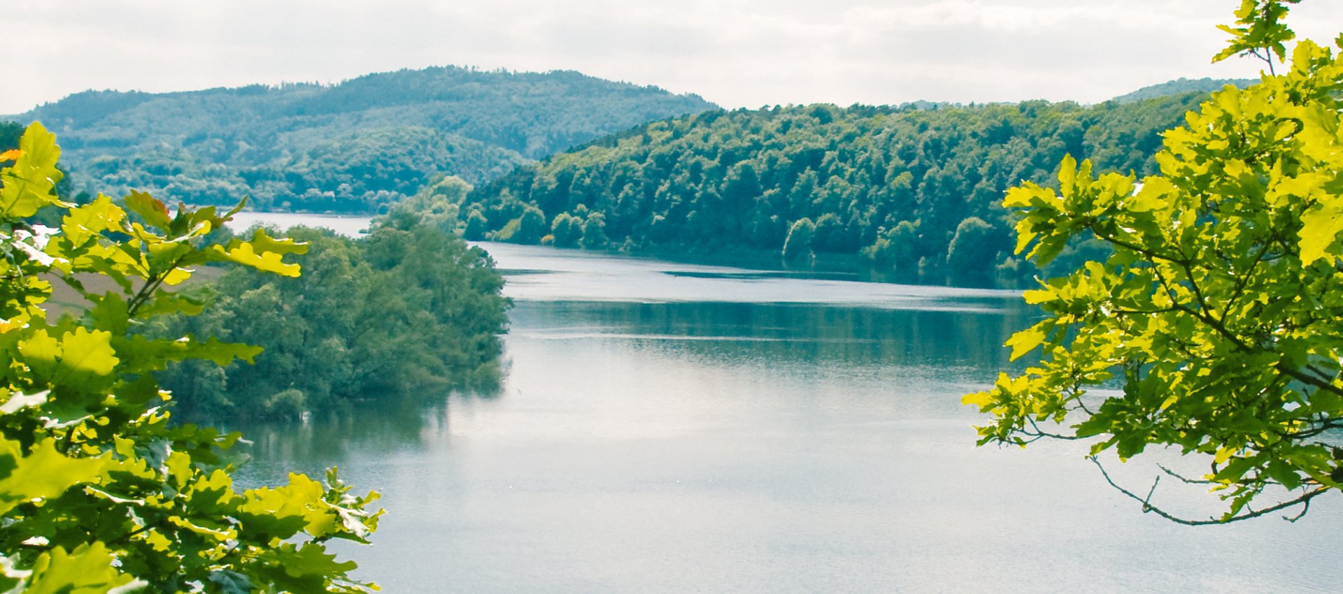 Seeblick durch zwei Zweige