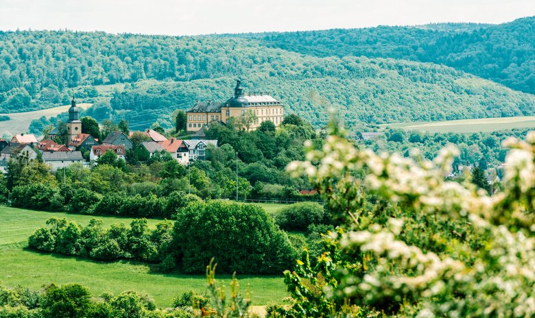 Schloss Friedrichstein in Bad Wildungen