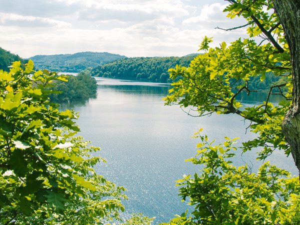 Seeblick durch zwei Bäume